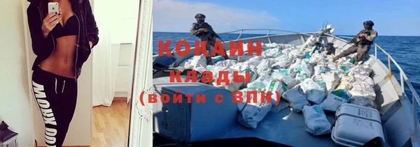 дурь Дмитриев