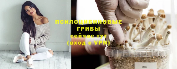 эйфоретик Дмитров
