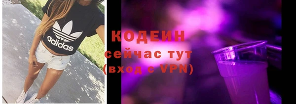 эйфоретик Дмитров
