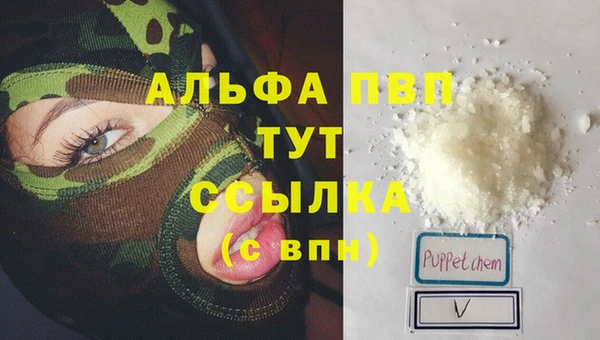 эйфоретик Дмитров