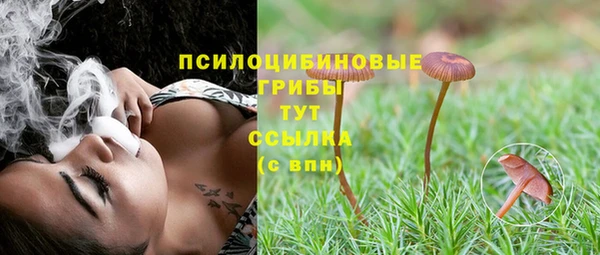 таблы Дмитровск