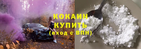 дурь Дмитриев