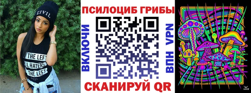 Галлюциногенные грибы Magic Shrooms  Купить  Дзержинск 